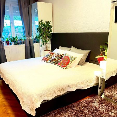 شقة Margaret Bridge Cosy Flat بودابست المظهر الخارجي الصورة