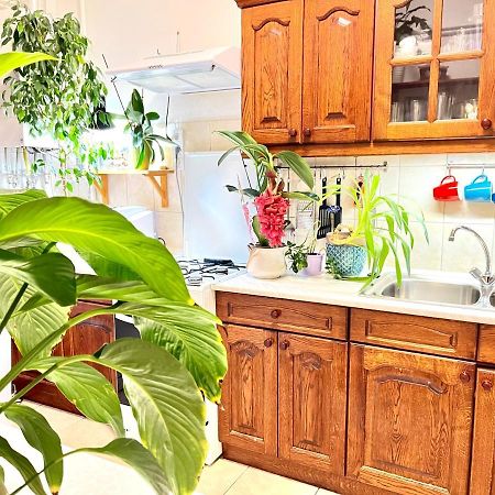 شقة Margaret Bridge Cosy Flat بودابست المظهر الخارجي الصورة