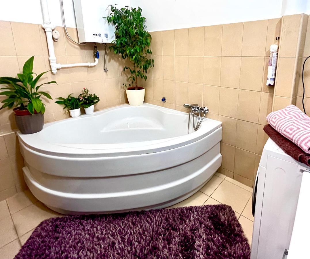 شقة Margaret Bridge Cosy Flat بودابست المظهر الخارجي الصورة